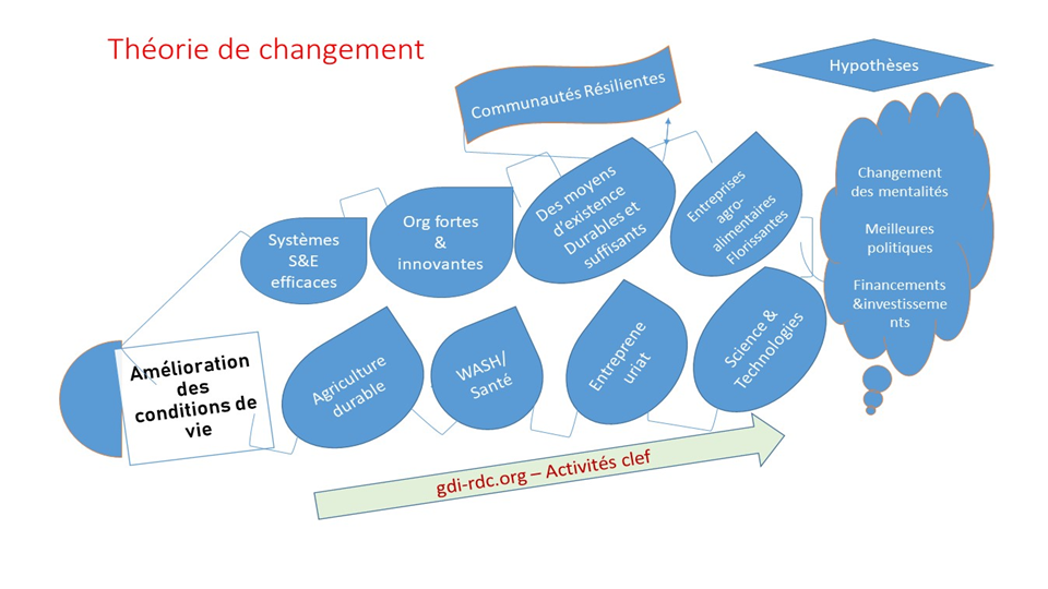 Théorie de changement de l'Organisation Grenier pour le Développement Intégré au Bushi.